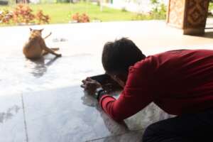 TLS Students fulfill the challenges assigned
