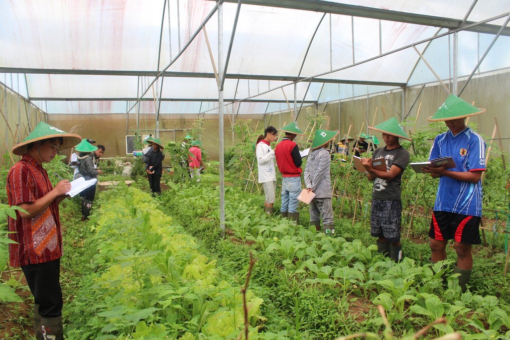 At the greenhouse