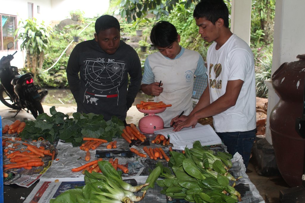 Save 50 Youth with Regenerative Agriculture