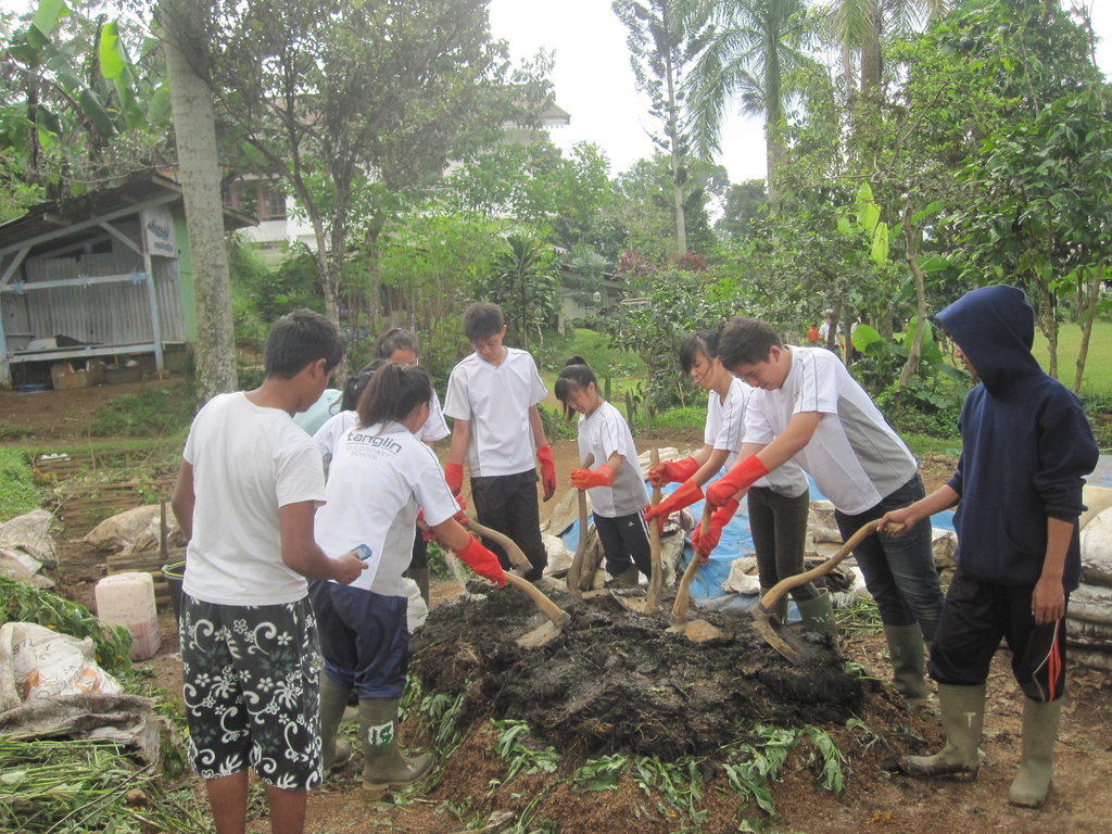 Save 50 Youth with Regenerative Agriculture