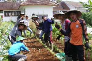 Learning at the farm