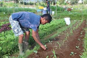 Planting hope for future