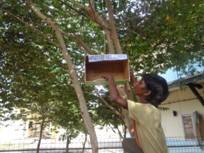 Bird's nest created by children