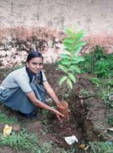 Planting our life, World Environment Day