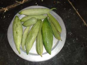 Produce - 2
