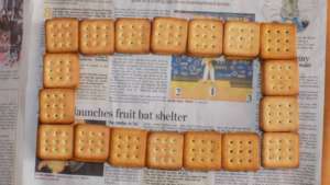 Rectangle shaped cookies