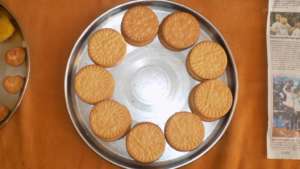 Circle shapes
