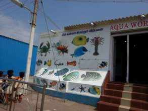Guide to the sea life