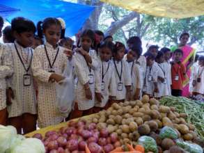 Market visit - 1