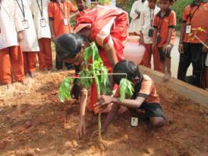 Planting by student - 2