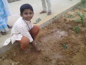 Planting by student - 3