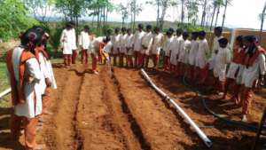 Dharmapuri-21072017-1-IrrigationTechniques