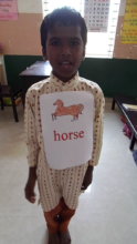 Horse sound