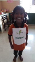 Parrot sound