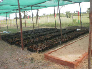 Villupuram school nursery
