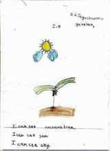 Drawing-5