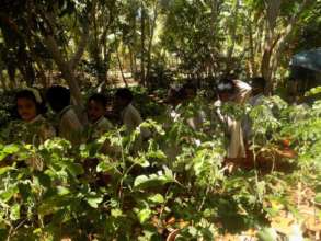 Students inside the nursery