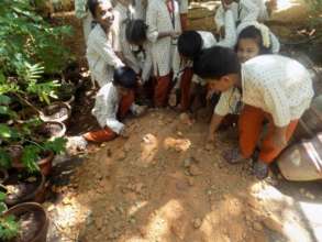 Students learning soil preparation