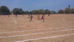tuti-2-18102917