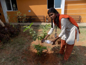 Watering Saplings - 4