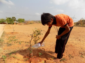 Watering Saplings - 5