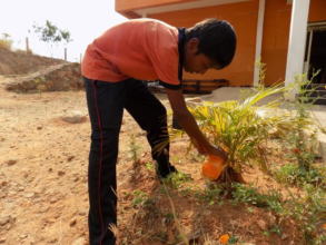 Watering Saplings - 6