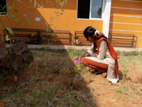 Watering Saplings - 7