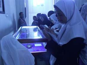 Visiting the Kabul Museum: field trip!