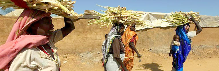 6000 Safe Stoves for Darfur Refugee Mothers
