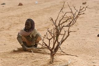 6000 Safe Stoves for Darfur Refugee Mothers