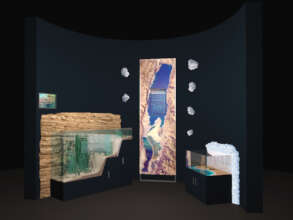 The new exhibit design