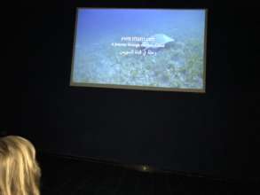 Visitors watch an educational film screening