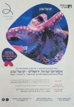 Flyer of holiday activities