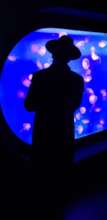 Visitor viewing jellyfish