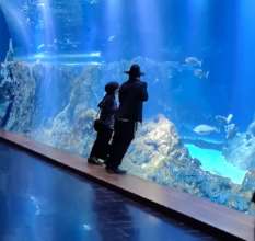 Visitors enjoying the re-opened Aquarium