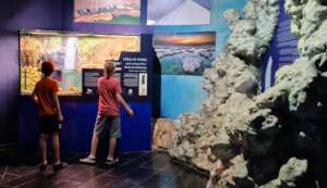 The new exhibit