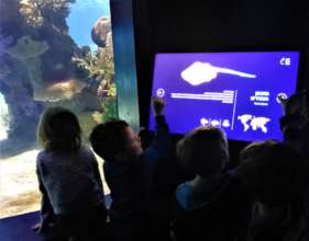 Young visitors learning by using the touchscreens