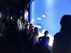 A kindergarten group visits the Aquarium