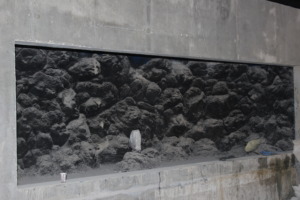 Completed rockwork for one of the exhibits