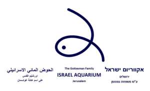 Our new name and logo!