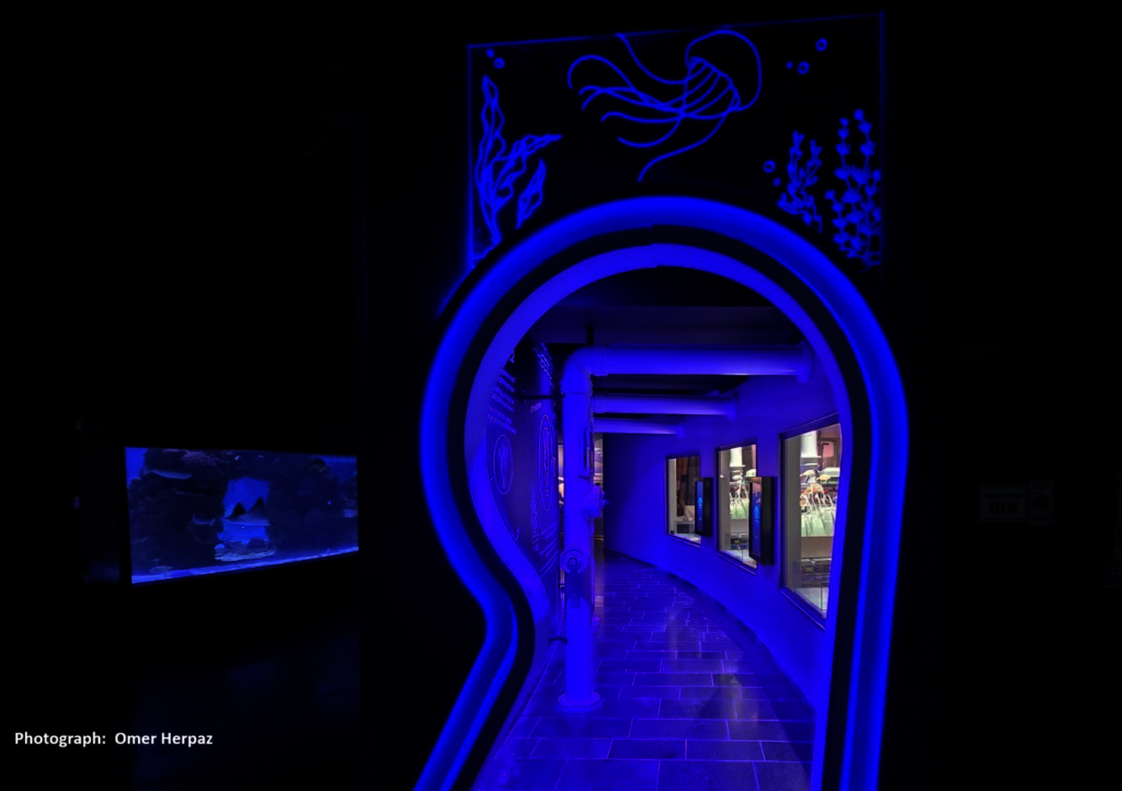 The New Jellyfish Breeding Center