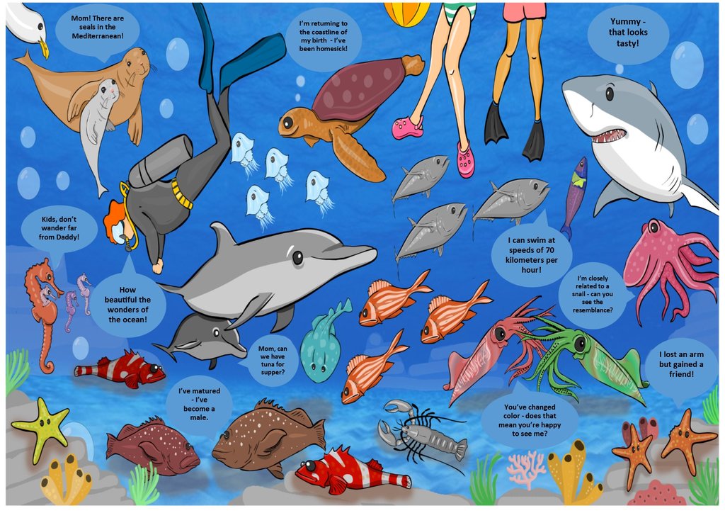 Summer camp education programming example 1