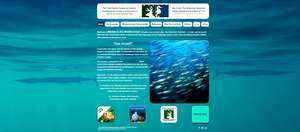 Visit our new website!