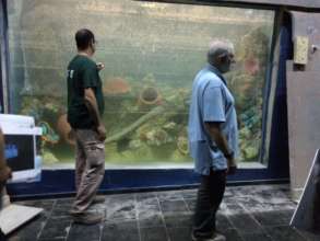 Completion of interior tank artwork and design