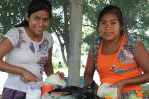 Sharing fund and learning together