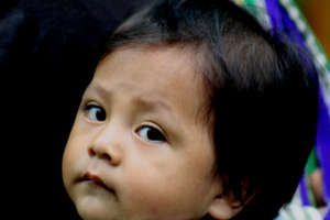 Watching from her Mom's back