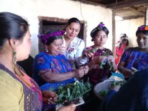 Cooking Favorite Dishes with Nutritious Greens