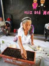 Seeds Are Planted in Another Type of Container