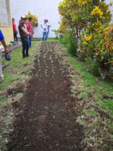 The Seeds Team Helped with the Heavier Work