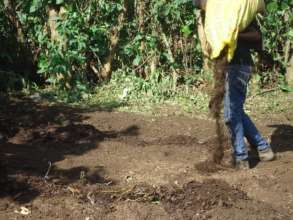 Adding compost so the soil is healthy & productive
